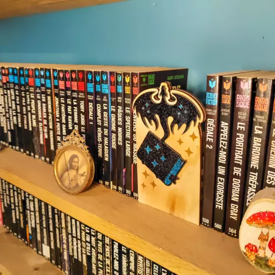Décoration de bibliothèque secrète – L’Envol des Grimoires