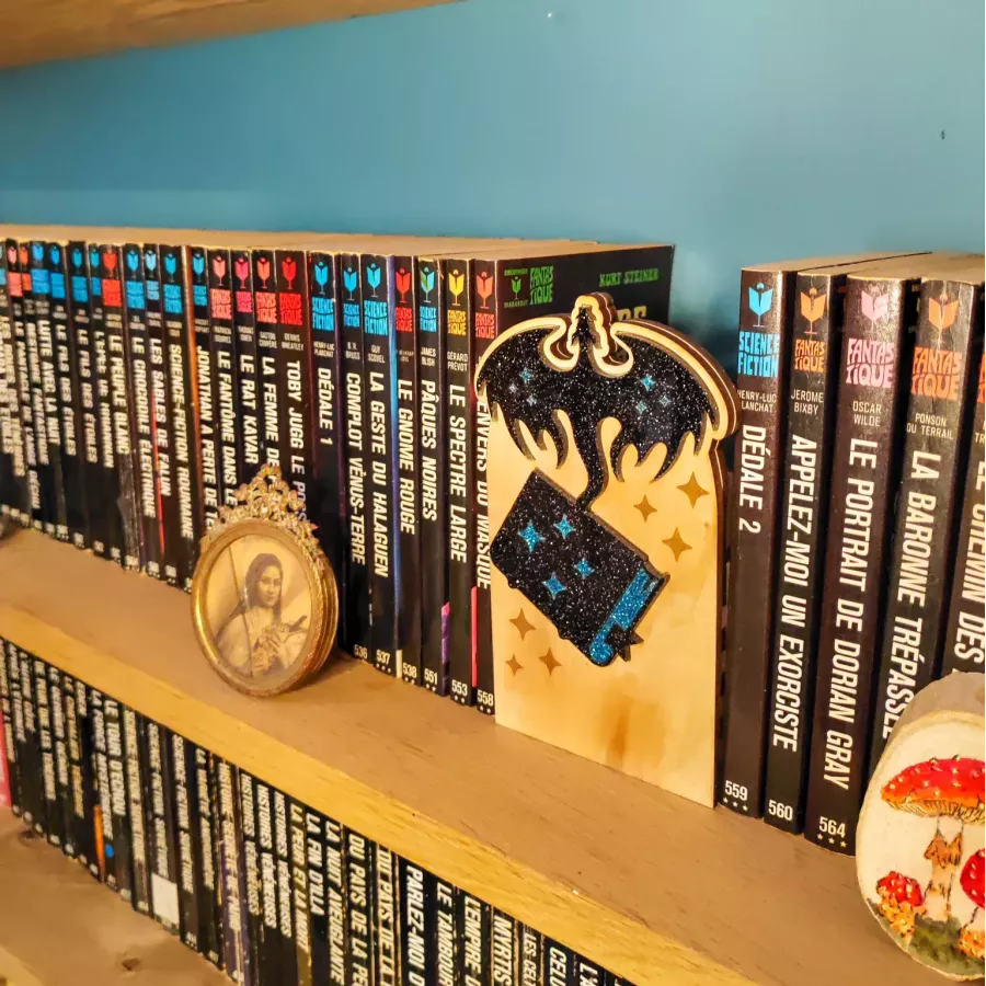 Décoration de bibliothèque secrète – L’Envol des Grimoires