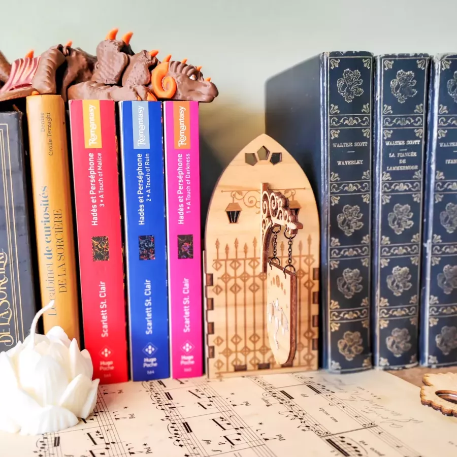 Décoration de bibliothèque secrète - Le dragon d’argent