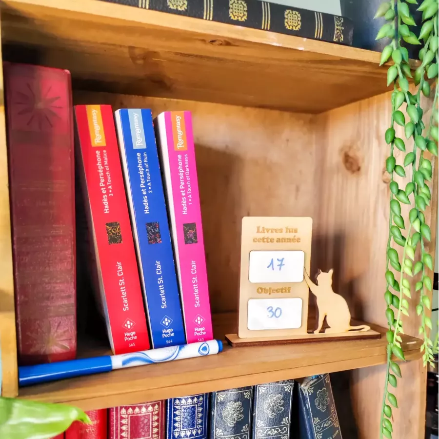 compteur de livres lus en bois avec chat – décoration de bibliothèque à personnaliser