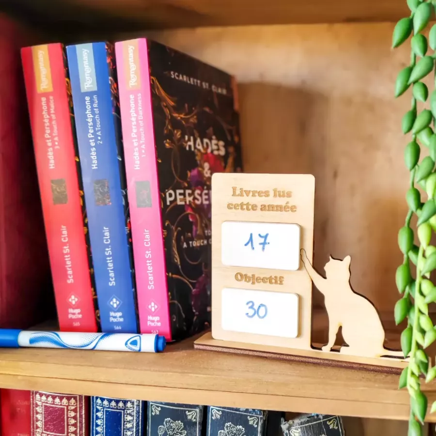 compteur de livres lus en bois avec chat – décoration de bibliothèque à personnaliser