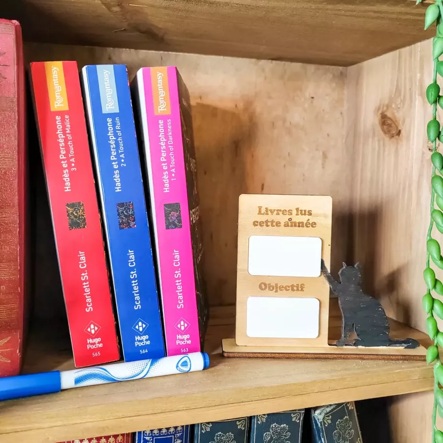 compteur de livres lus en bois avec chat – décoration de bibliothèque à personnaliser