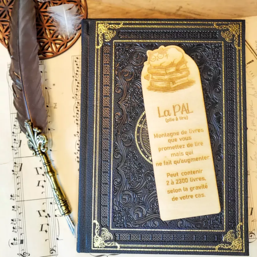 Marque-page en bois gravé – chat sur une pile de livres avec citation humoristique sur la PAL