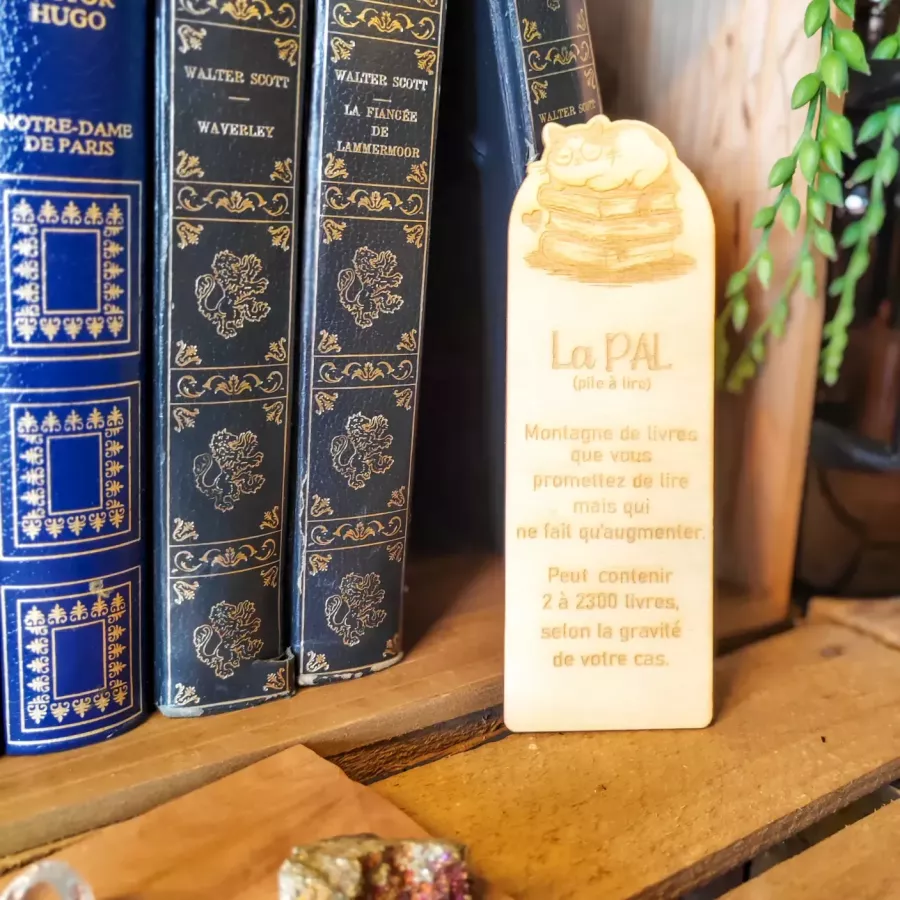 Marque-page en bois gravé – chat sur une pile de livres avec citation humoristique sur la PAL
