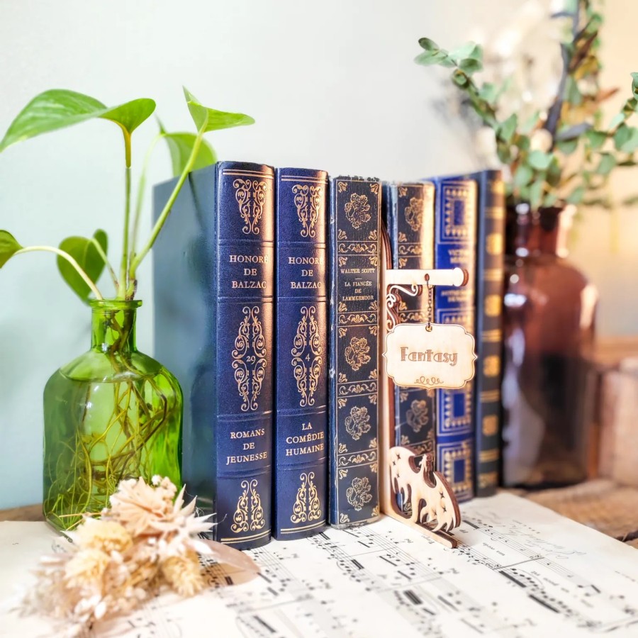Séparateur de livre décoratif - dragon & pancarte Fantasy