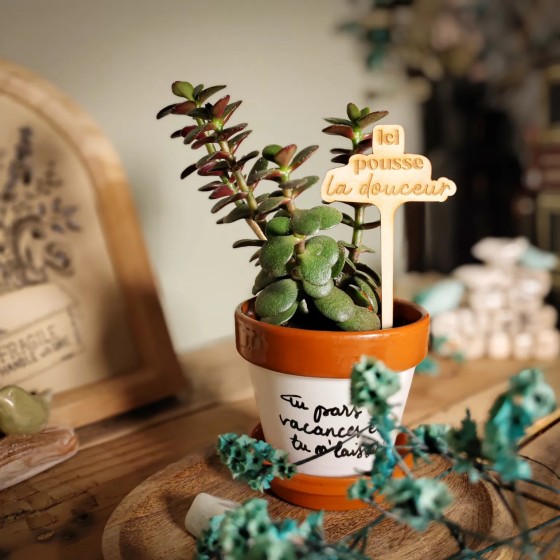 Marqueur décoratif pour plante d'intérieur