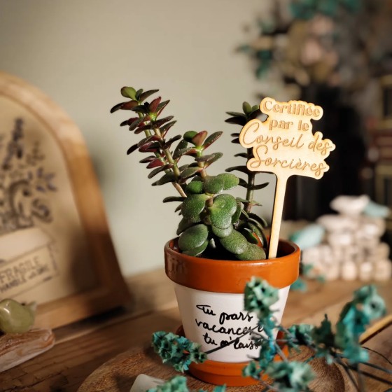 Marqueur décoratif pour plante d'intérieur