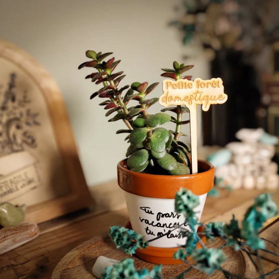 marqueur décoratif pour plante d'intérieur