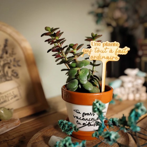marqueur décoratif pour plante d'intérieur