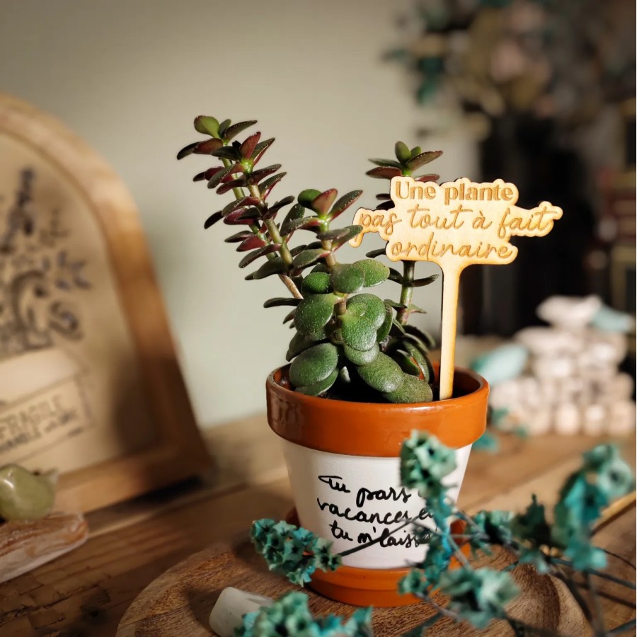 marqueur décoratif pour plante d'intérieur