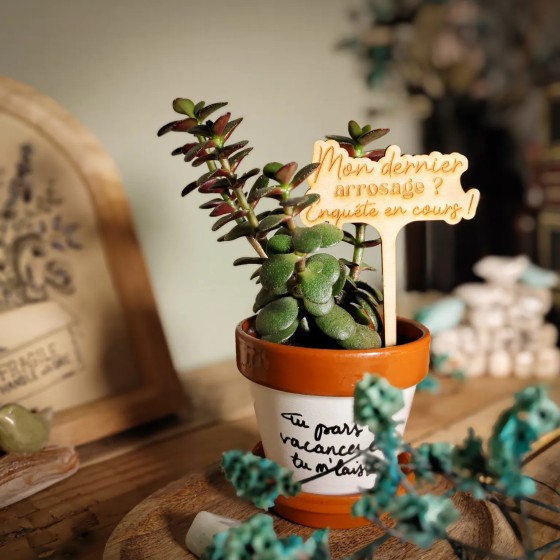 marqueur décoratif et humoristique pour plante d'intérieur