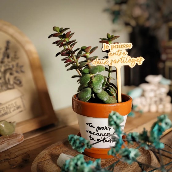 marqueur décoratif et humoristique pour plante d'intérieur