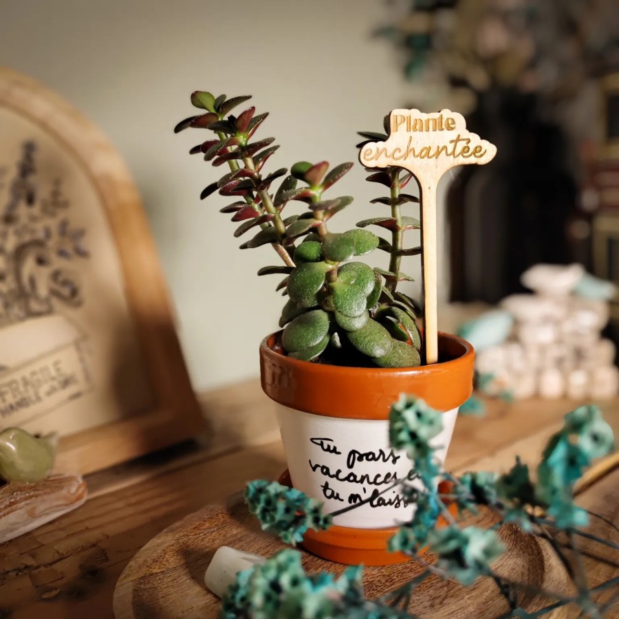 marqueur décoratif et humoristique pour plante d'intérieur