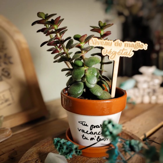 marqueur décoratif et humoristique pour plante d'intérieur