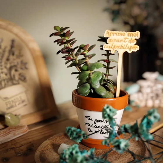 marqueur décoratif et humoristique pour plante d'intérieur
