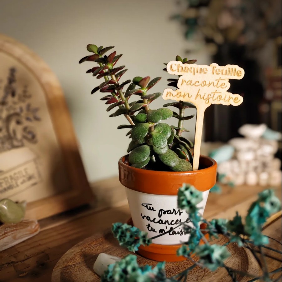 marqueur décoratif et humoristique pour plante d'intérieur